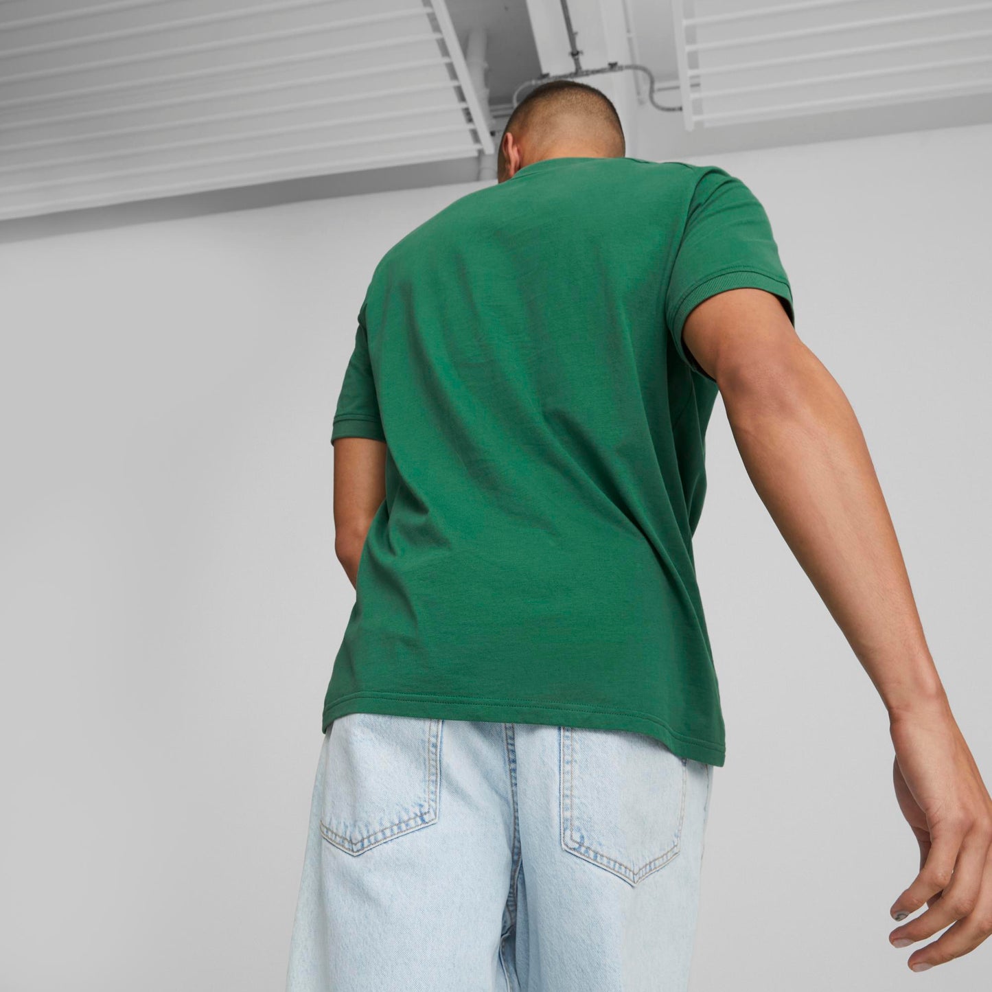 CLASSICS V-COLLAR POLO (Vine)